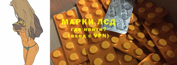 spice Богородицк