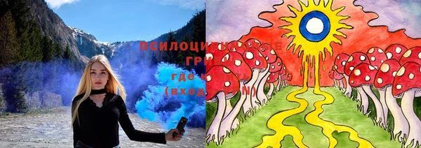 PSILOCYBIN Строитель