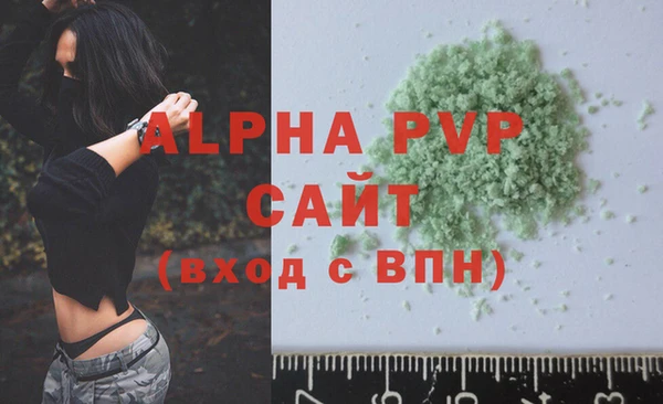 PSILOCYBIN Строитель