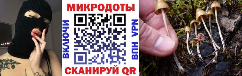 Псилоцибиновые грибы прущие грибы  Тавда 