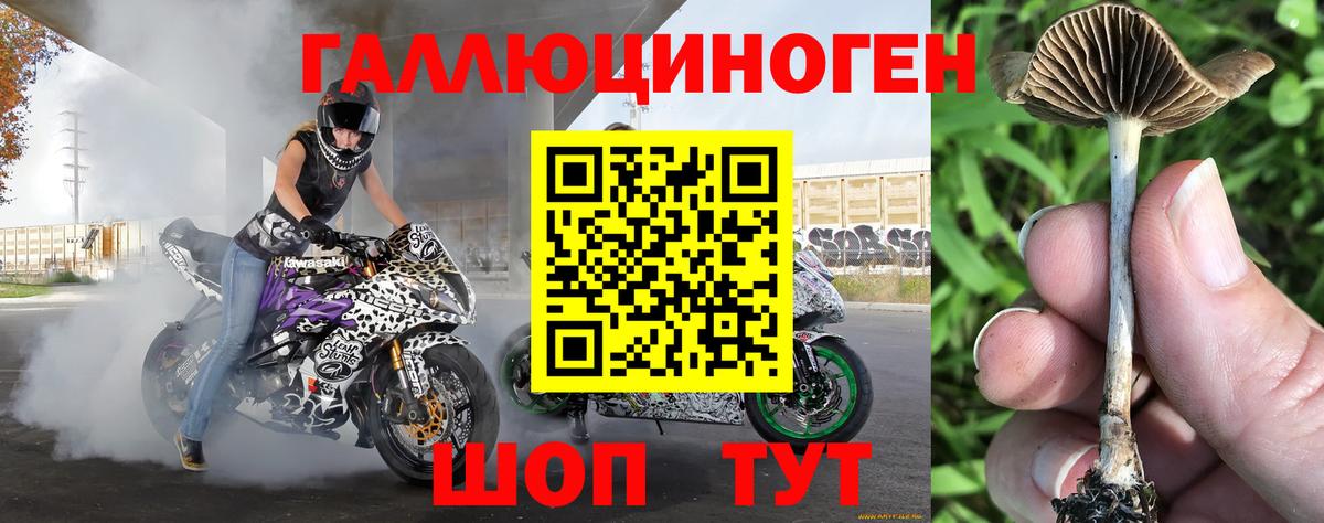 закладка  Вход с VPN  Тавда  Псилоцибиновые грибы Psilocybe 