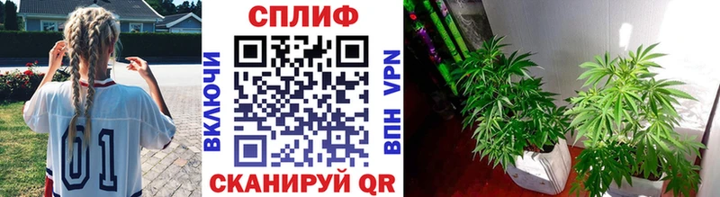 МАРИХУАНА MAZAR KRAKEN ТОР Тавда
